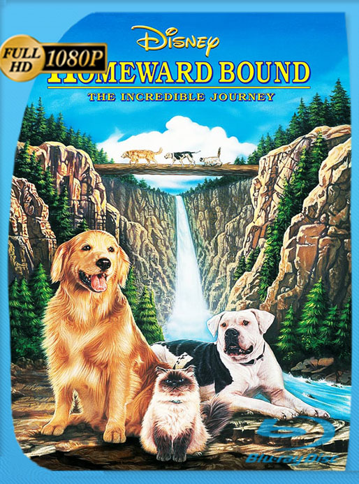 Volviendo a casa: Una aventura increíble (1993) 1080p WEB-DL AMZN Latino [Google Drive] Tomyly