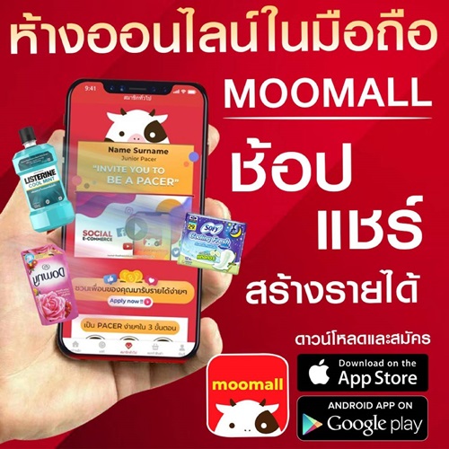 4 องค์ประกอบหลักที่จะทำให้คุณมีรายได้หลัก 1,000,000 ได้จากธุรกิจ moomall