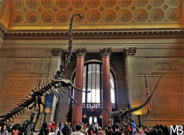 American Museum of Natural History new york