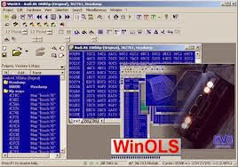 Reprogram ECU: Software