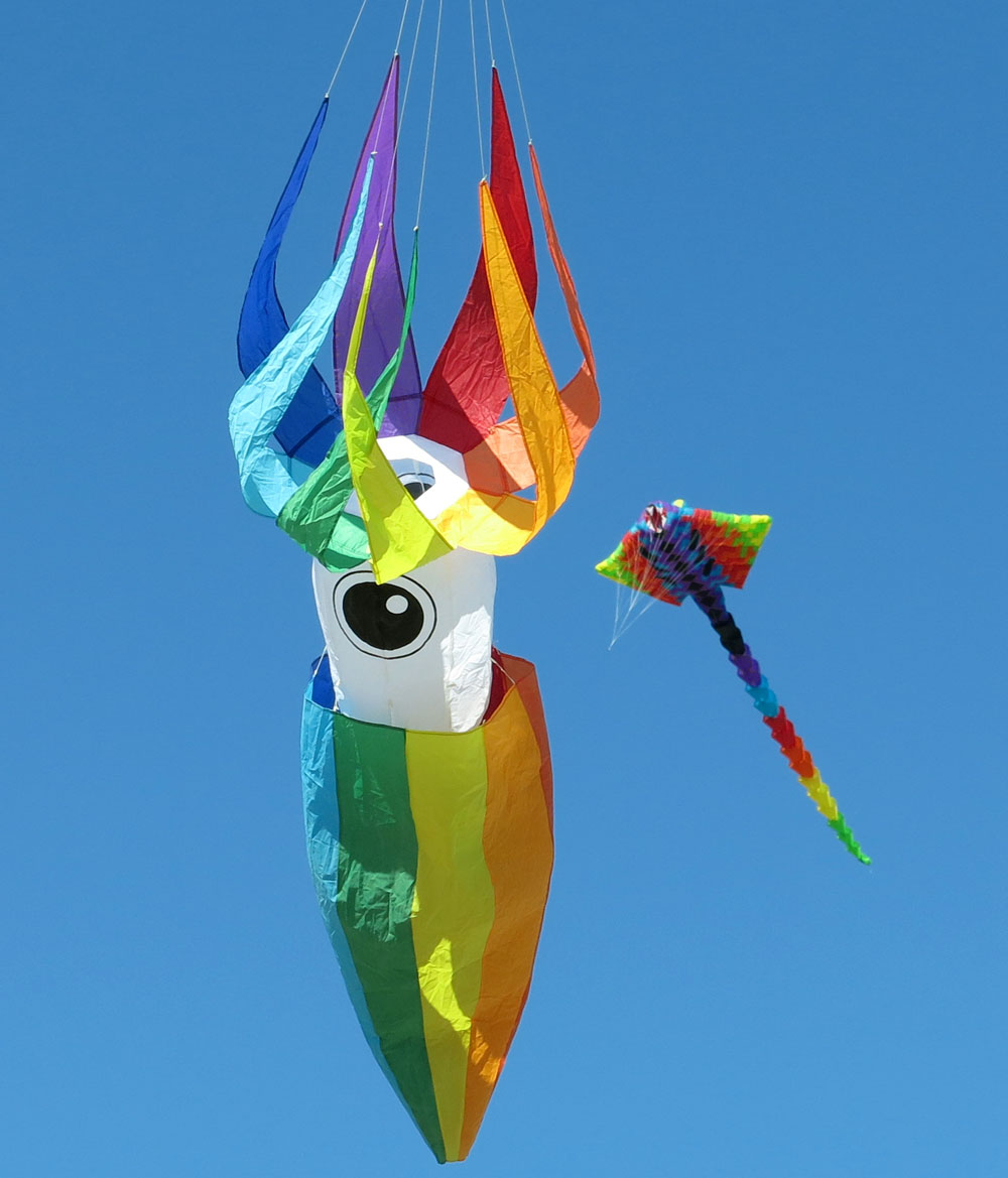 Toronto Grand Prix Tourist A Toronto Blog Watching kites flying high