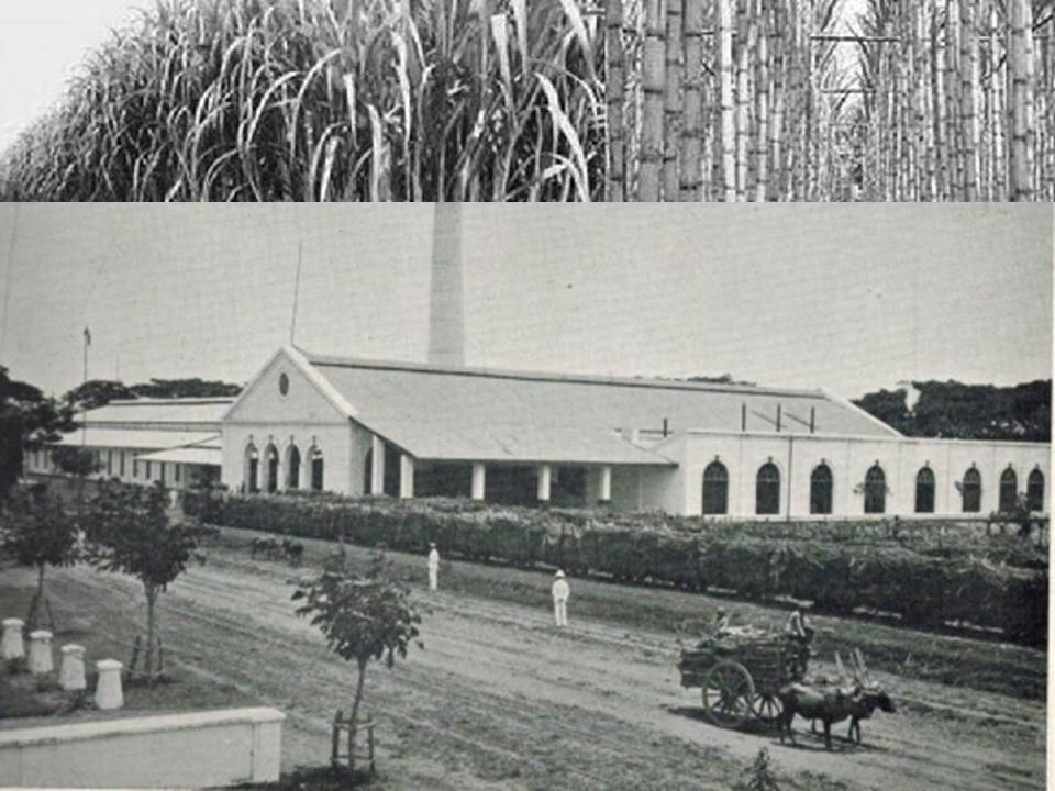 Kebijakan Serta Perbedaan Masa Awal Dengan Akhir Pendudukan Jepang di