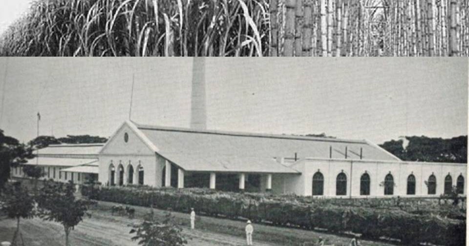 Perbedaan Masa Penjajahan Jepang Dan Belanda Di Bidang Politik Berbagai Perbedaan