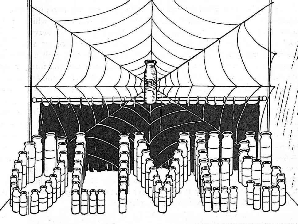1923 store window a 1923 store window display for bottled olive oil with a giant spider web