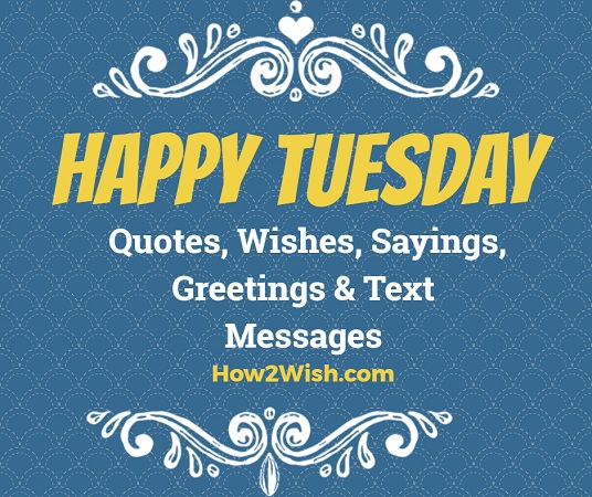 Tuesday Quotes Funny 