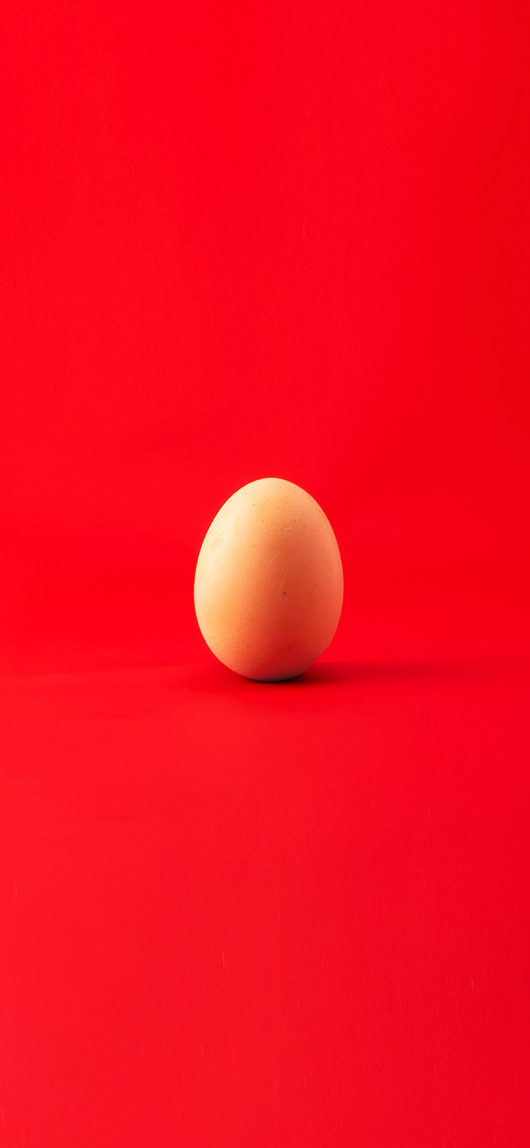 egg-in-red-background-wallpaper