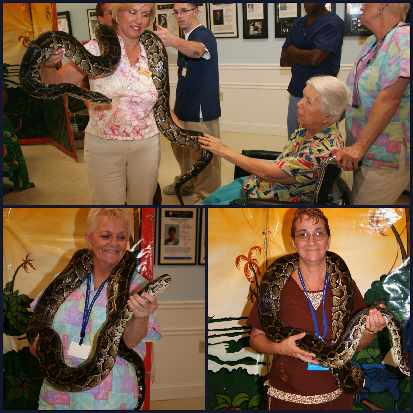 MadSnapper Reptile Petting Zoo