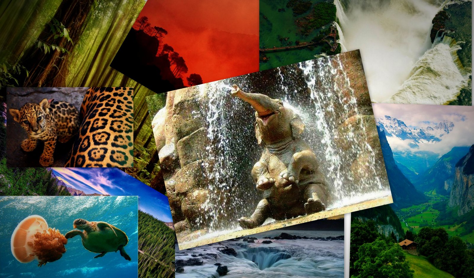 Megadiversidad Mexicana mayo 2012