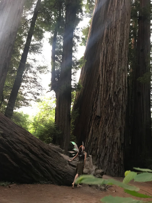 endor faery