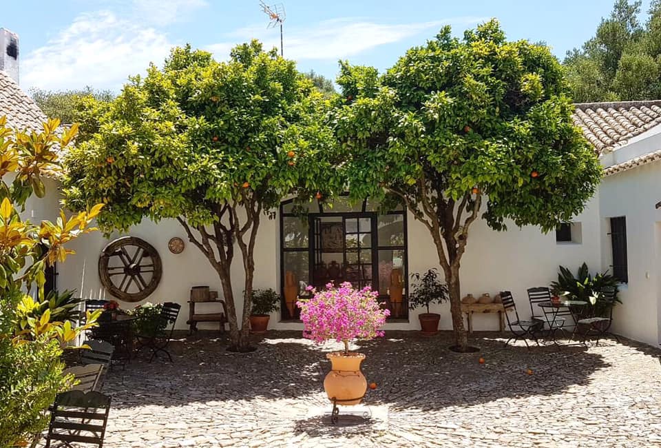 Cortijo El Indiviso, volunteer project, food and accommodation, Cadiz, Spain