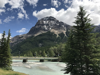 Richter Andy S Oder Bin Ich Schon Drin Juli 2017