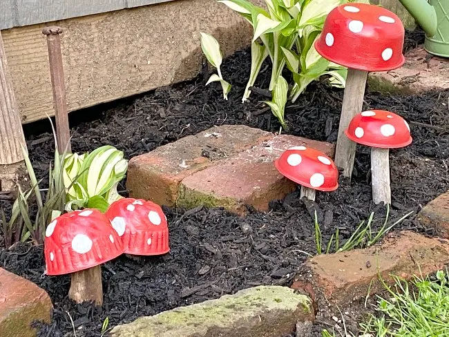 Red Garden mushrooms planted in the mulch in the garden