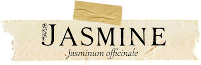Magical and Medicinal Uses of Jasmine