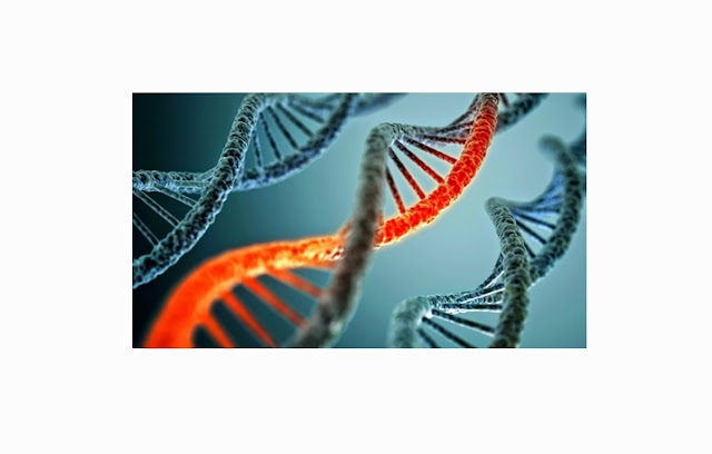 Rekayasa Pengertian, Fungsi, Proses, Jenis