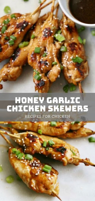 Honey Garlic Chicken Skewers