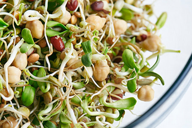 अंकुरित अनाज यानी स्प्राउट्स  के फायदे जाने | Benefits of eating sprouted grains
