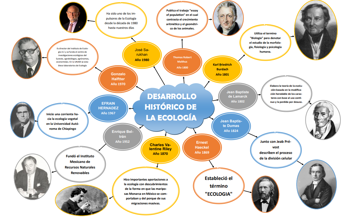 DESARROLLO HISTÓRICO DE LA ECOLOGÍA MAPA MENTAL 26/02/2021