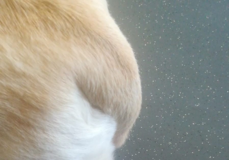 24.03.2021 Erster Progesterontest