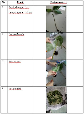 Pembuatan Simplisia 1 Pembuatan Simplisia 1