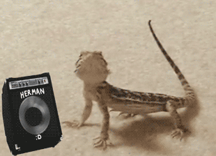 lizzard%2Bmusic.gif