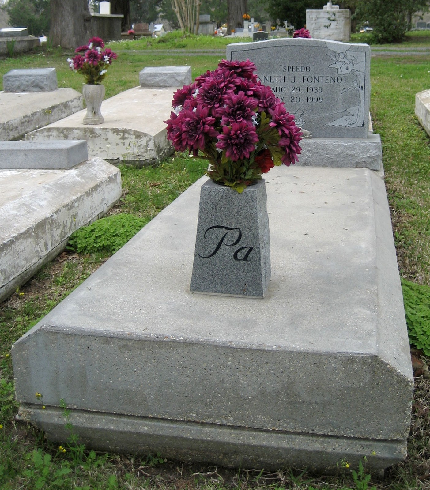 Living Rootless Washington, Louisiana Cedar Hill Cemetery