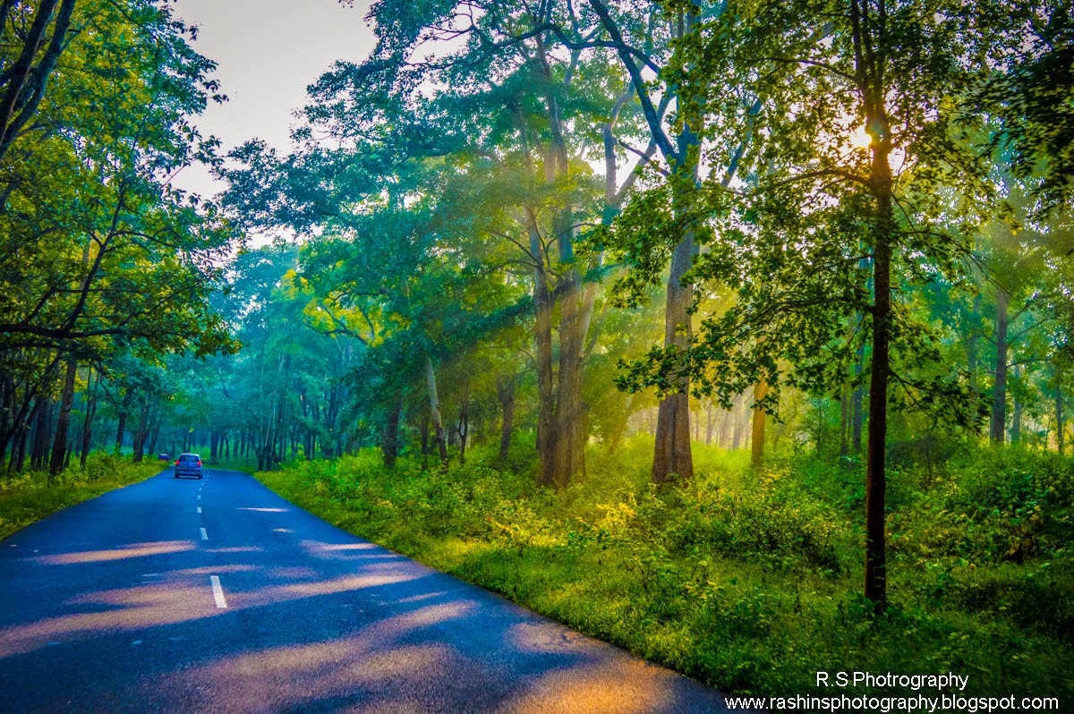 The First Rays Of Sun Entering The Earth. Rashin'S Photography