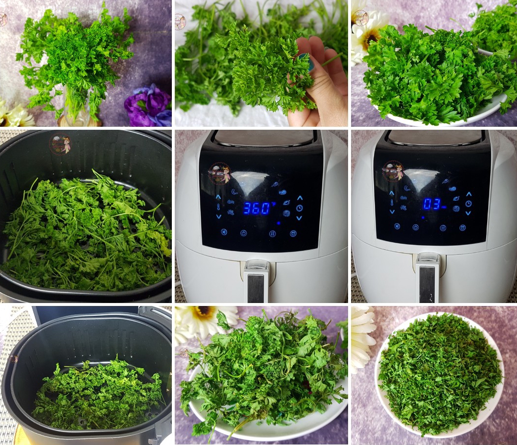 Dried Parsley in GoWise Air Fryer EVENLY DEHYDRATED How to Dry