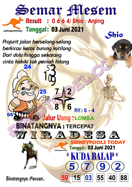 14 Semar pools sdy