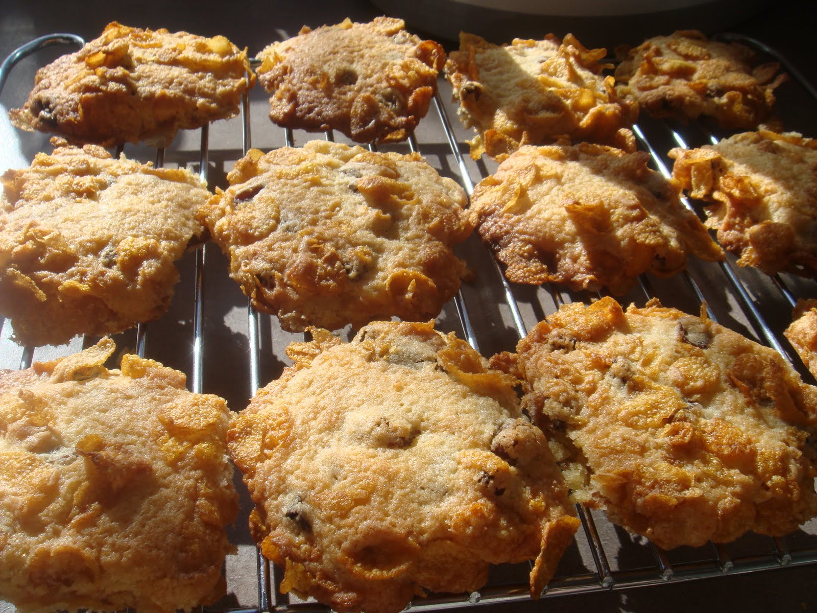 best cat biscuits for hedgehogs