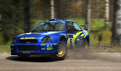 Dirt Rally Game Screenshot 3