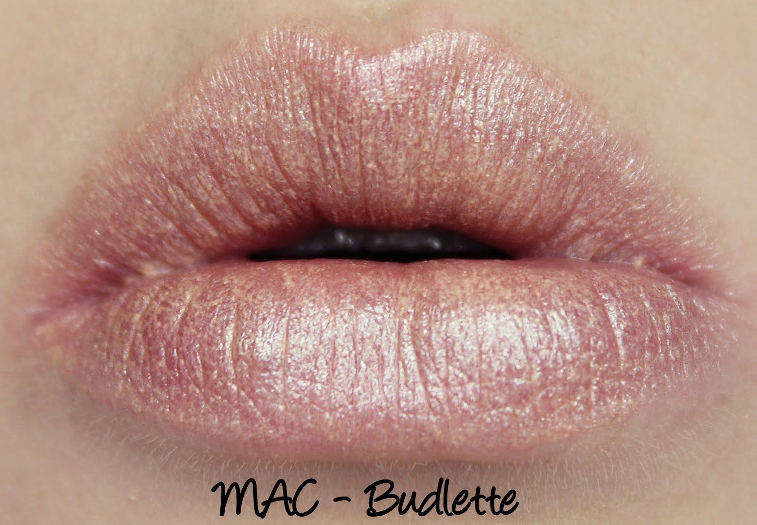 MAC Monday: Fab Florals - Budlette Lipstick Swatches and Review