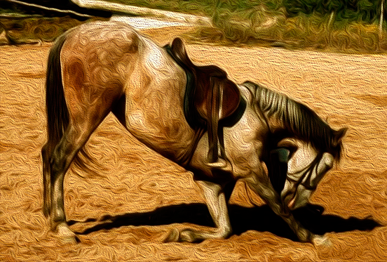 Pura Reflexão: O cavalo selado