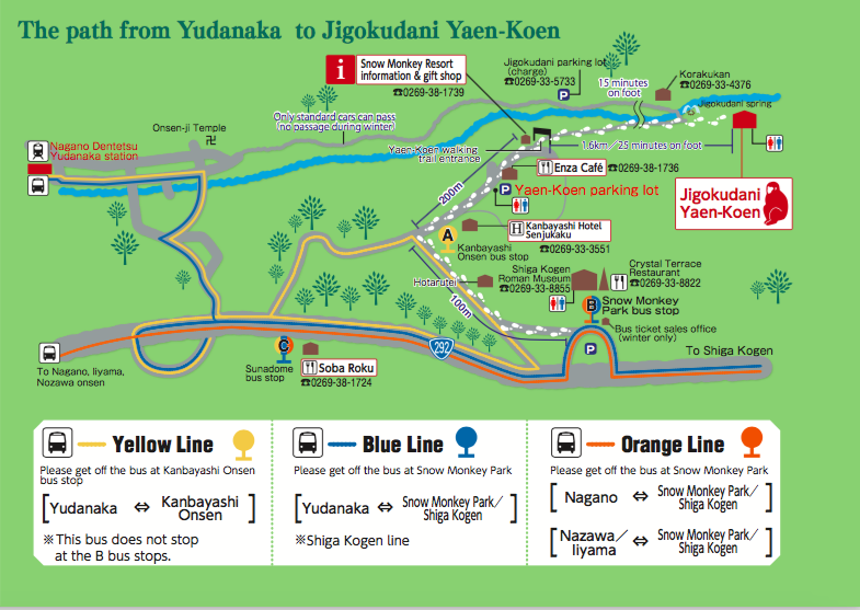 Miss HappyFeet How to visit the Snow Monkey Park in Nagano? Everything