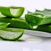 How to Quickly Eliminate Dandruff With Aloe Vera