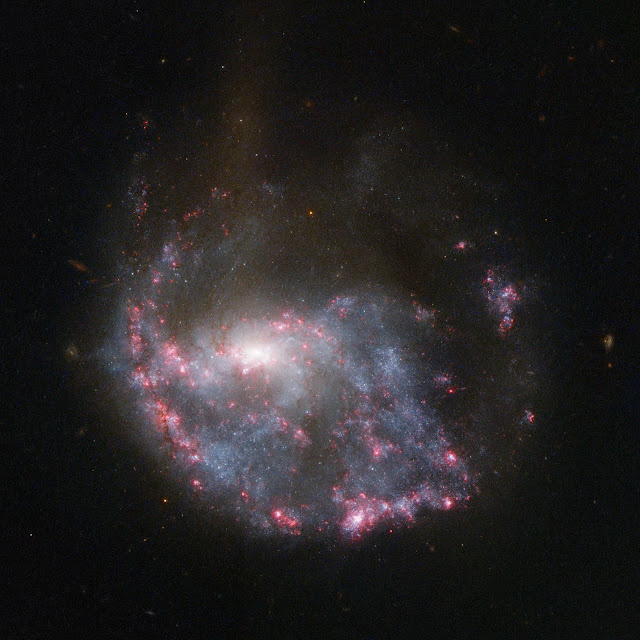 Ring Galaxy NGC 922