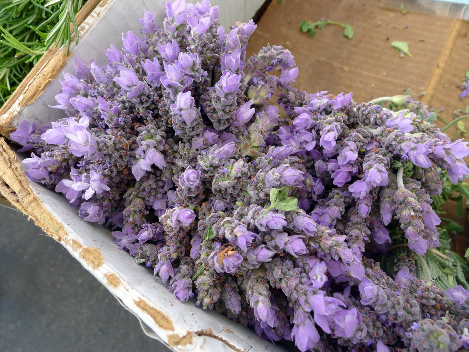 Culinerdy Fresh Lavender Blossoms at the Farmer's Market