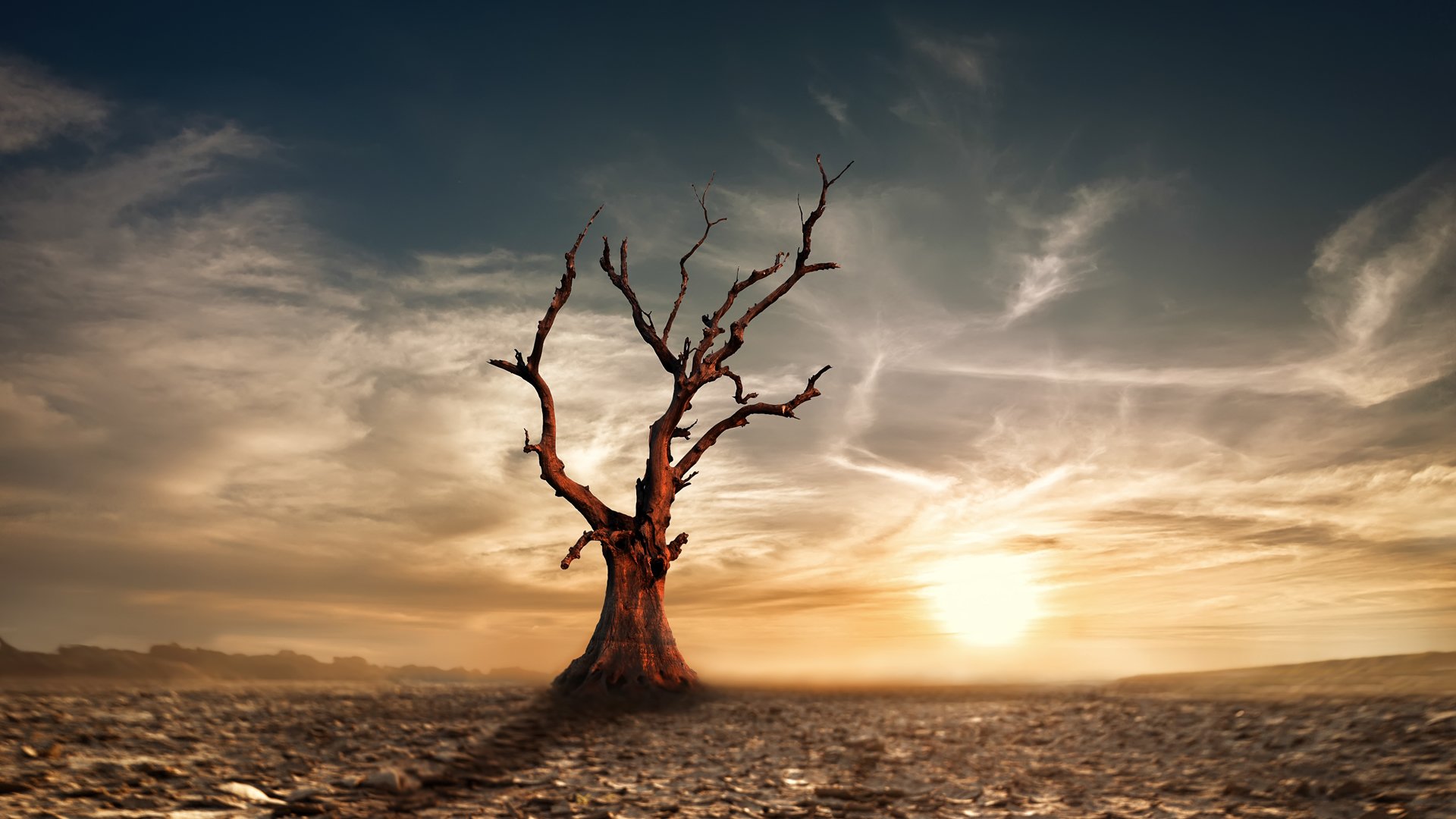 Cross and Cutlass The Revelation 12 Sign and the Fig Tree Prophecy!