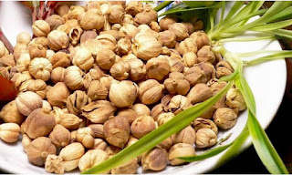 Tekanan darah tinggi adalah kondisi yang tidak boleh di biarkan begitu saja 16 Tanaman Herbal untuk Menurunkan Darah Tinggi