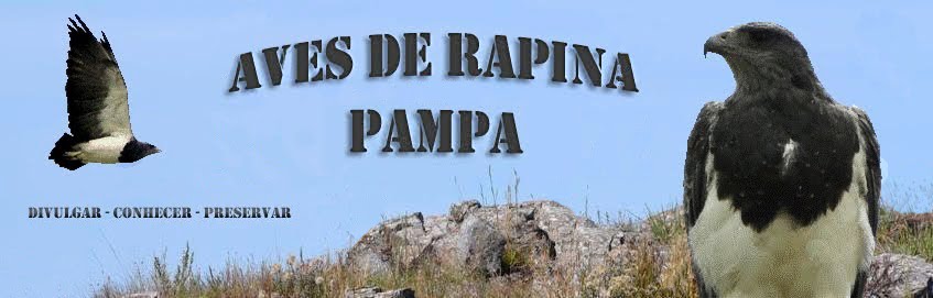 Aves de Rapina Pampa