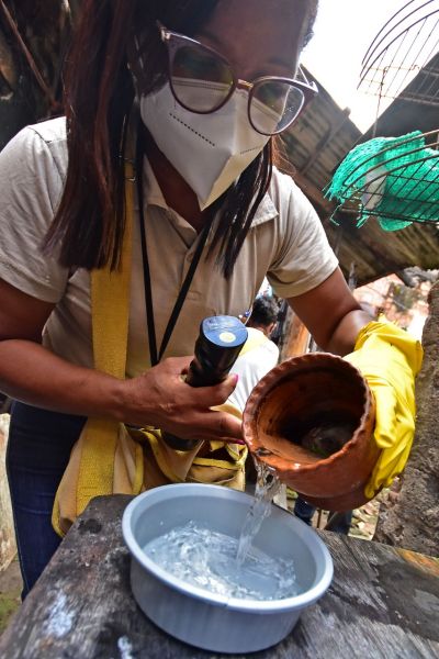 Prefeitura intensifica combate ao mosquito Aedes aegypti em São Luís