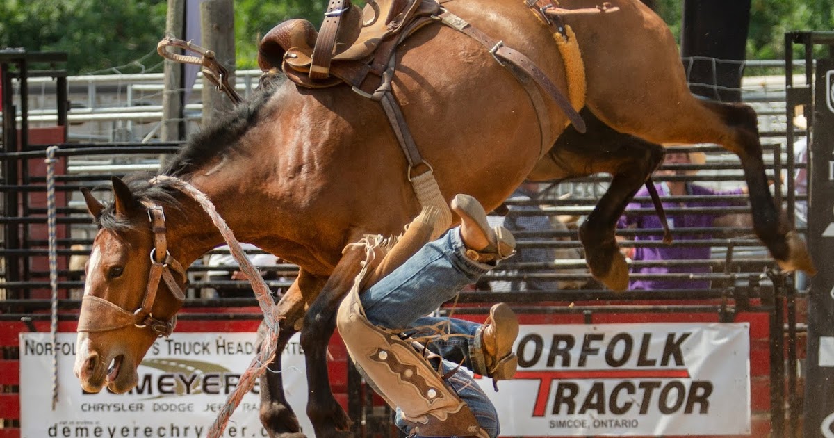 NEW WEEKEND FOR 4TH ANNUAL NORFOLK RAM RODEO - Norfolk RAM Rodeo NEW WEEKEND FOR 4TH ANNUAL NORFOLK RAM RODEO - Norfolk RAM Rodeo