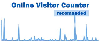 Online visitor counter Online visitor counter