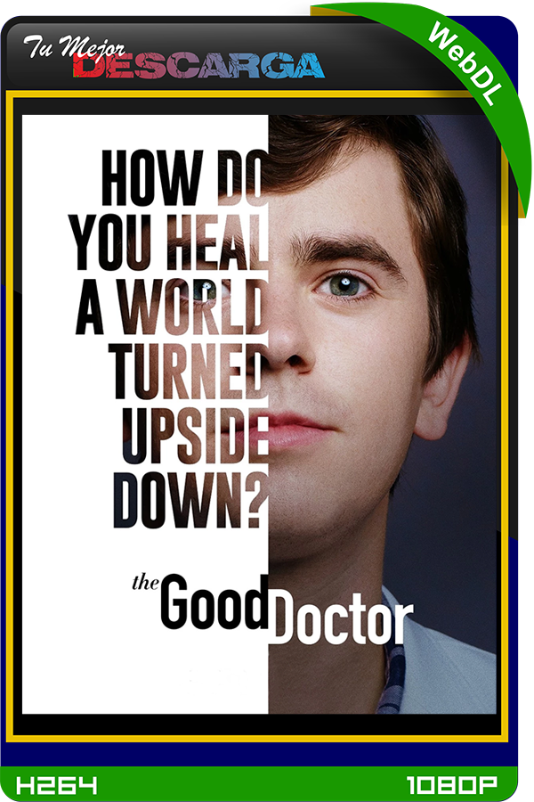 The Good Doctor T4