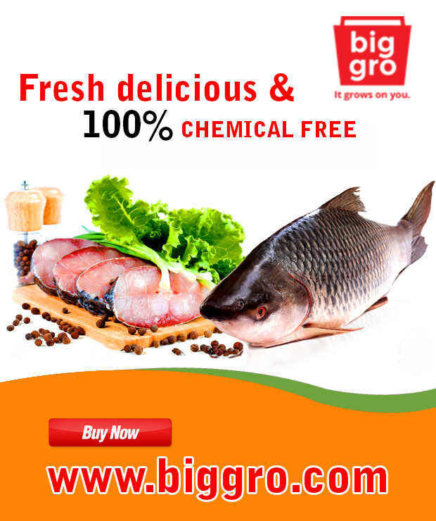 online shopping ernakulam, online supermarket cochin,buy fish online