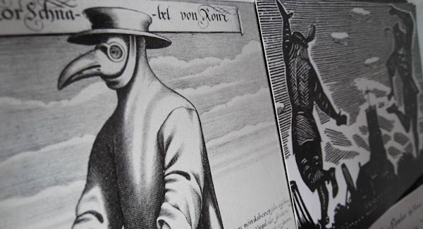 La llegada y propagación de la peste negra en Europa La llegada y propagación de la peste negra en Europa