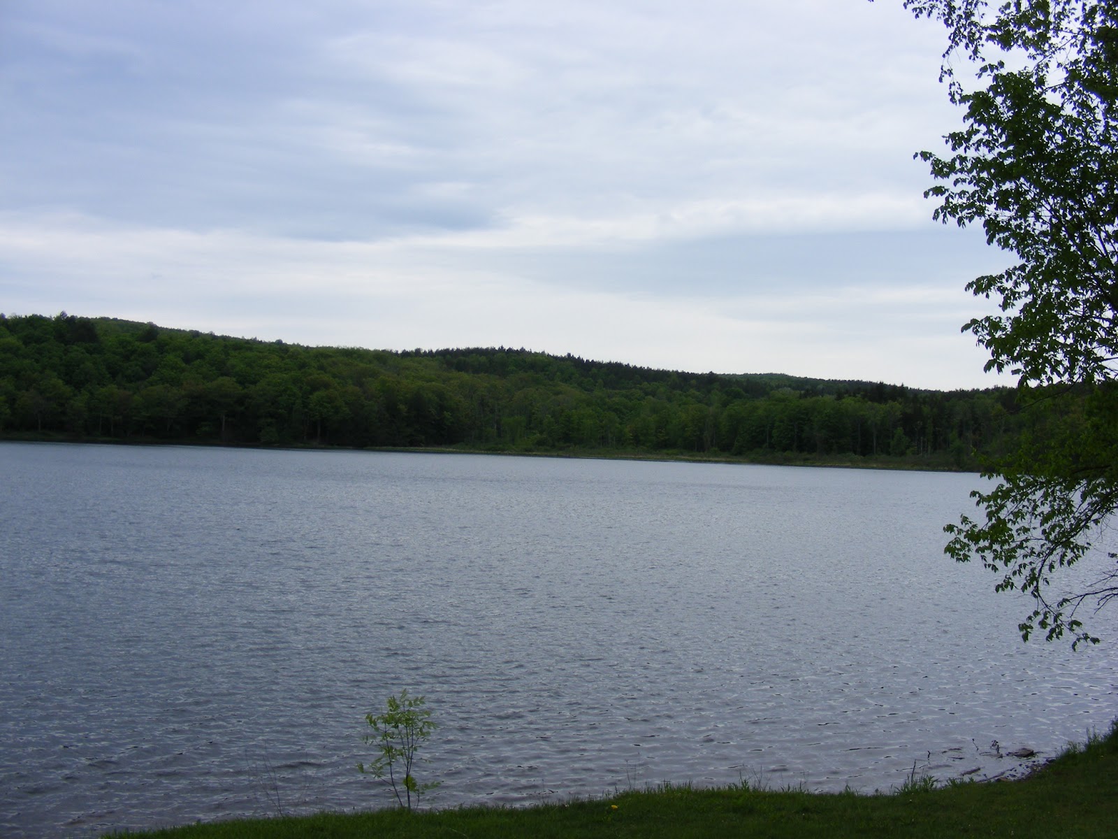 BirdingWeek Partridge Run WMA & Huyck Preserve