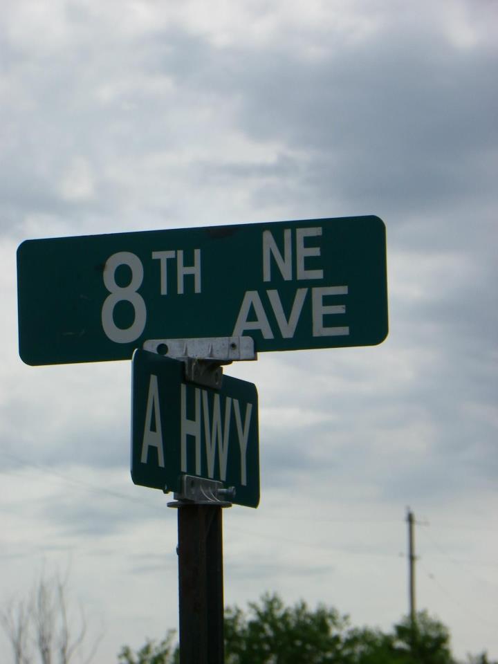 all the nuts in the tree May 2012