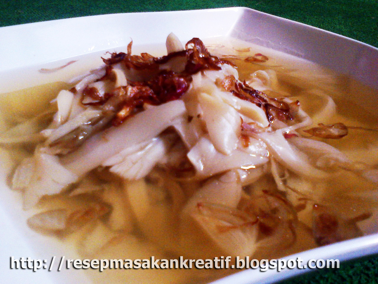 MANFAAT DAN KHASIAT JAMUR TIRAM Kuliner Kudus MANFAAT DAN KHASIAT