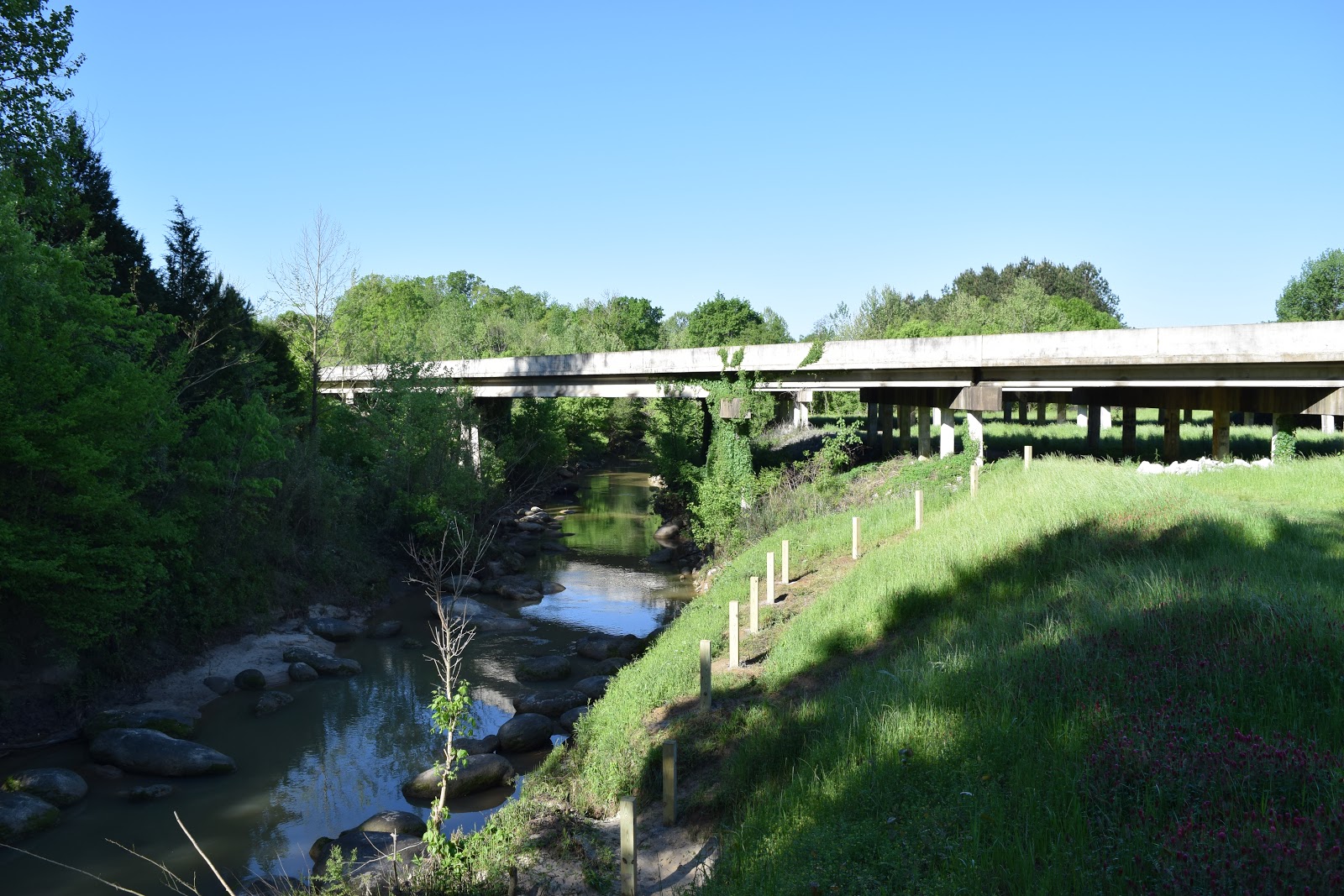 W.M. Browning Cretaceous Fossil Park