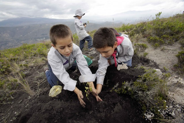 Ecuador Just Set The World Record For Reforestation!